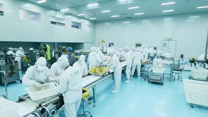 疆果果 深耕新疆堅果，以創新研發打造品質與文化融合的產業標桿